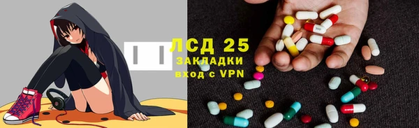 шишки Алексин