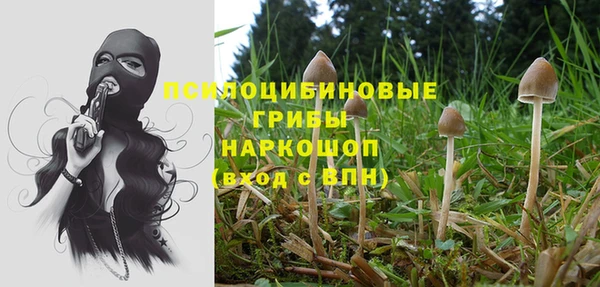 шишки Алексин