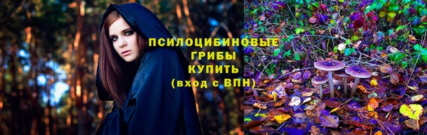 шишки Алексин