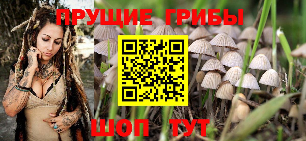 Галлюциногенные грибы мухоморы  Вход с VPN  Псилоцибиновые грибы Magic Shrooms  Кинель 